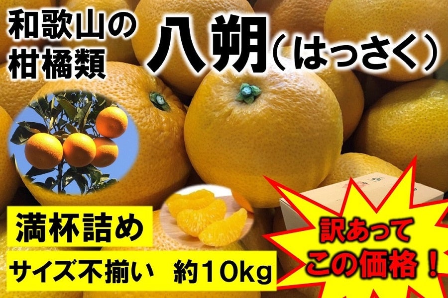 八朔　家庭用　 10kg 和歌山