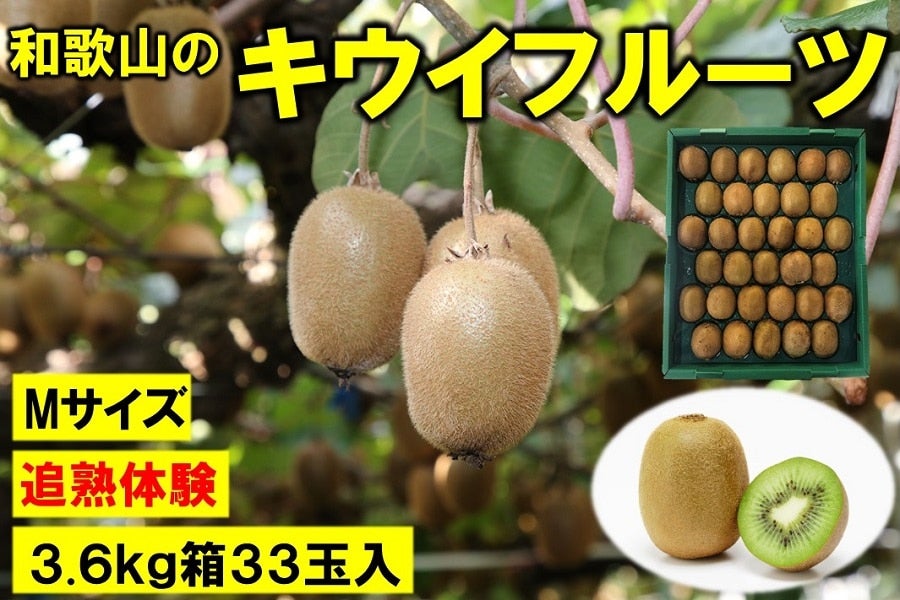 『腕自慢』|【ＪＡタウン】産地直送　約3.6ｋｇ【追熟体験】:　お取り寄せ　和歌山のキウイフルーツ　通販　Ｍサイズ３３玉入　ＪＡ紀北かわかみ