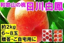 a̎R̓@씒P@U~Wʁ@ Q