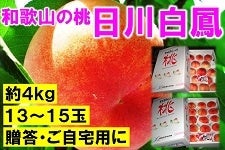 a̎R̓@씒P@PR~PTʁ@ S