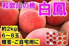 a̎R̓@PU`Wʁ@Q
