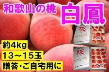a̎R̓@PPR`PTʁ@S