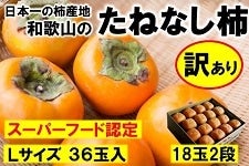 和歌山の柿　たねなし柿　Ｌサイズ３６玉　7.5kg箱　【訳あり】