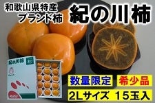 和歌山の柿　紀の川柿　２Ｌサイズ１５玉　４kg箱