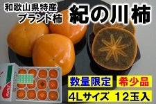 和歌山の柿　紀の川柿　４Ｌサイズ１２玉　４kg箱