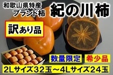 和歌山の柿　紀の川柿　２Ｌサイズ３２玉〜４Ｌサイズ２４玉　7.5kg箱　【訳あり】