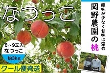 やっちょん広場　岡野さん家の桃　なつっこ８〜９玉 約３kg