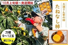 L@OYƂ̊`@˂Ȃ`ijX`PQ Q.Tkg@929`