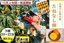 L@OYƂ̊`@˂Ȃ`ijQO`QQ S.Tkgy󂠂z929`