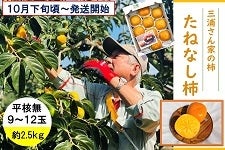 L@OYƂ̊`@˂Ȃ`i햳jX`12 Q.Tkg@POQO`