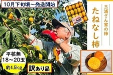 L@OYƂ̊`@˂Ȃ`i햳jPW`QO S.Tkgy󂠂zPOQO`