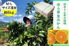 L@{Ƃ̊k@瑁݂jMkTCY@T@tl