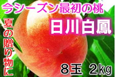 �a�̎R�̓��@���씒�P�@�W�� ��Q����