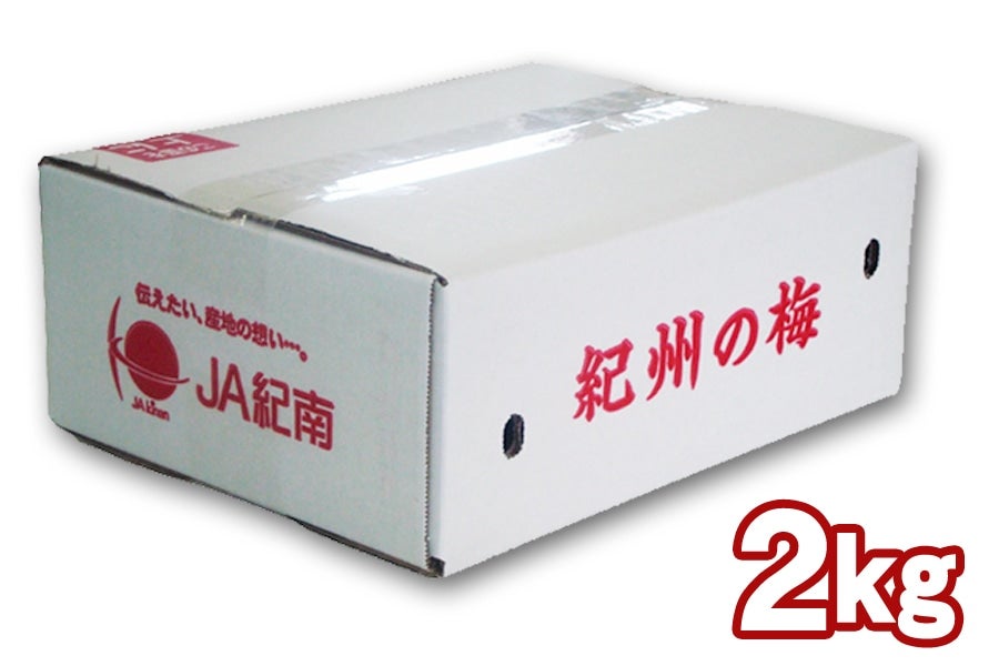 紀州産南高梅【2Lサイズ】 約2kg ＜梅干し用＞: JA紀南|【JAタウン 