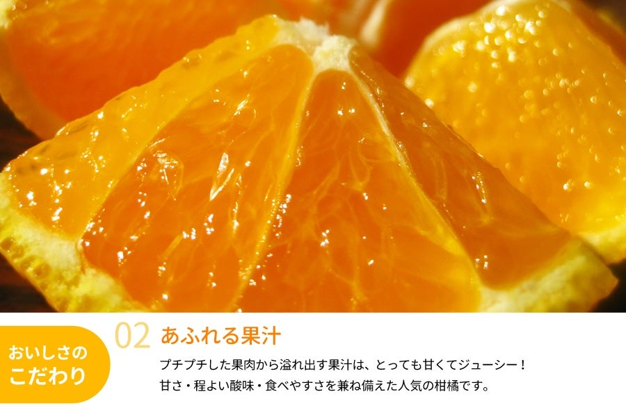 デコポン 和歌山 5kg