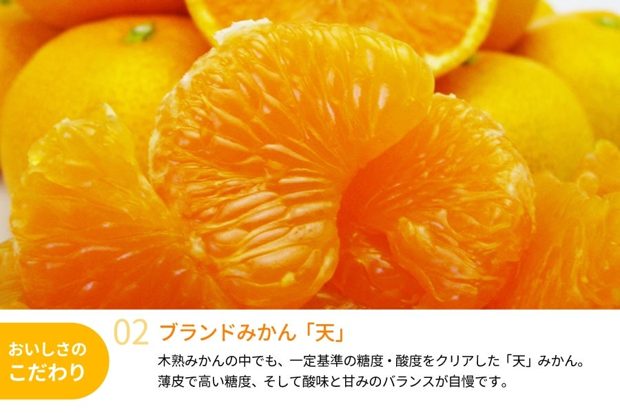産地直送 通販 お取り寄せ木熟みかん 天 Mサイズ 5kg お歳暮にも ｊａ紀南 ｊａタウン