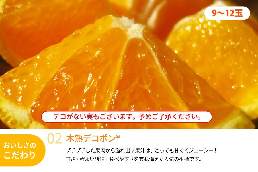 オープニング 大放出セール 2月中旬〜発送予定 おすすめフレッシュ柑橘３種詰合せ 約4kg www.dexion.com.au