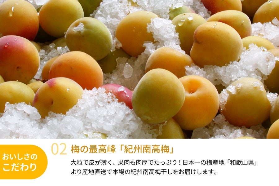 新商品 紀州南高梅干し白干し600g入