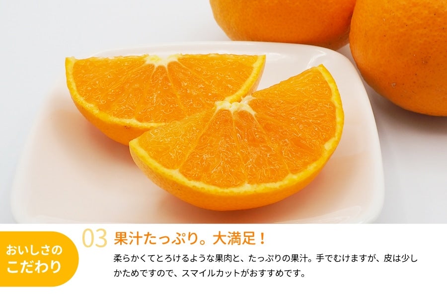 木熟清見オレンジ 約4.5kg（16～20玉入り） ＜3月中旬より順次