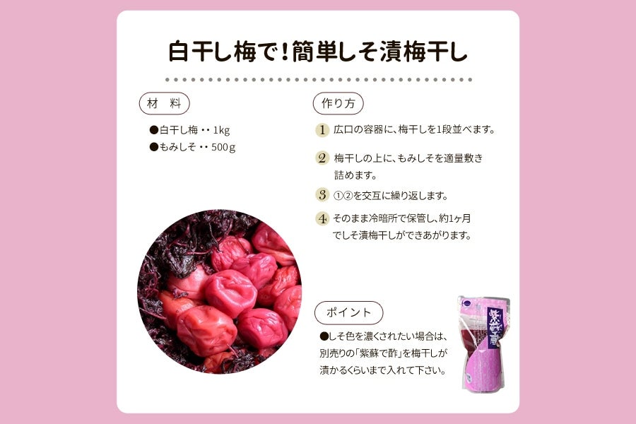国産もみしそ 500g×2袋: JA紀南|【JAタウン】産地直送 通販