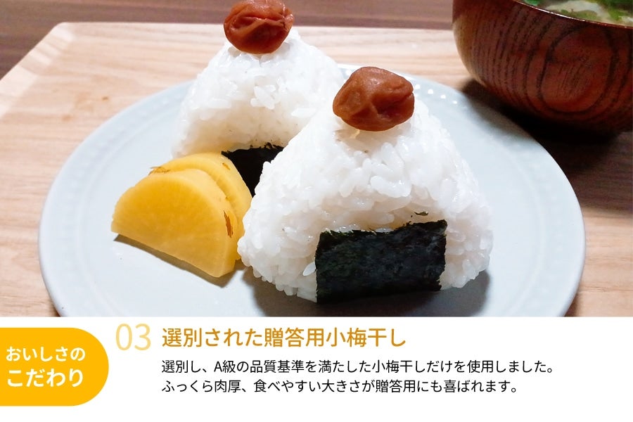 紀州産小梅 昔ながらのしょっぱい 白干し小梅 塩分22％ 500g