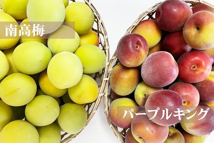 産地直送 通販 お取り寄せ冷凍パープルキング(パープル南高) 500g×4袋 (計2kg): ＪＡ紀南|ＪＡタウン