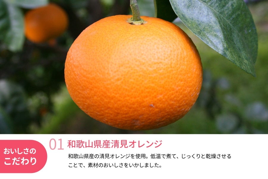 楽天市場】【送料無料】国産 ドライフルーツ 清見オレンジ 小袋