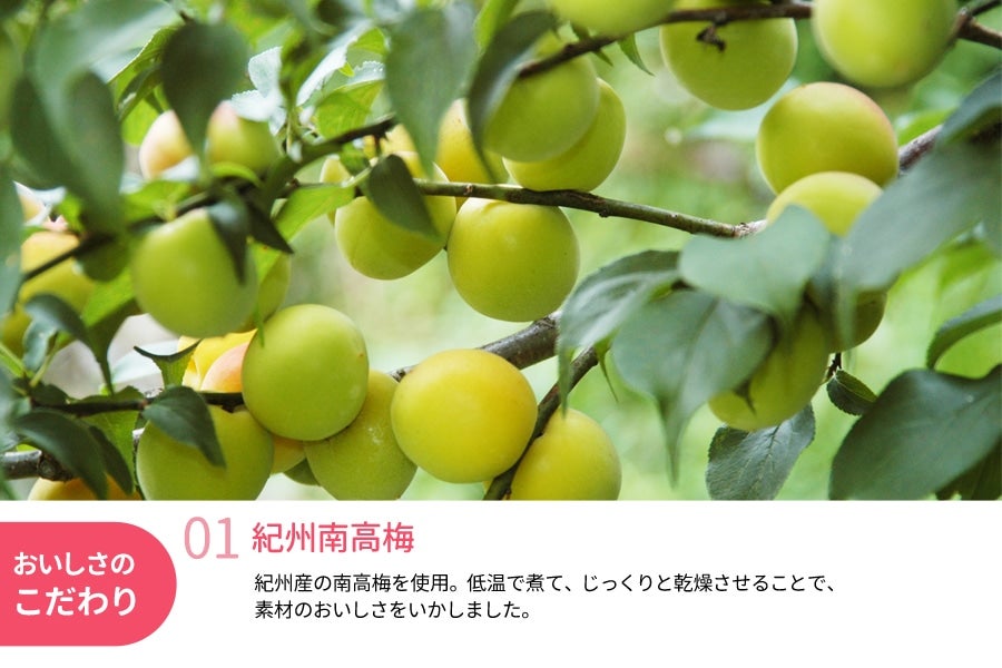 産地直送 通販 お取り寄せ ドライフルーツ南高梅 5袋 ｊａ紀南 ｊａタウン