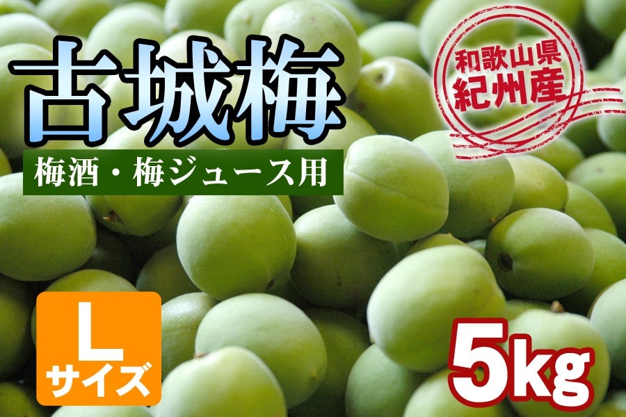 紀州産古城梅 【Lサイズ】 5kg <梅酒用・梅ジュース用>: JA紀南|【JAタウン】産地直送 通販 お取り寄せ