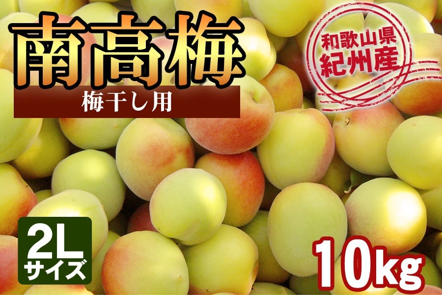 紀州産南高梅【2Lサイズ】 約10kg ＜梅干し用＞: ＪＡ紀南|【ＪＡタウン】産地直送 通販 お取り寄せ