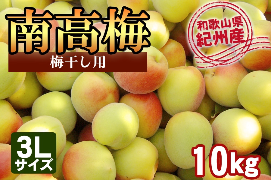 紀州産南高梅【3Lサイズ】 約10kg ＜梅干し用＞: JA紀南|【JA 