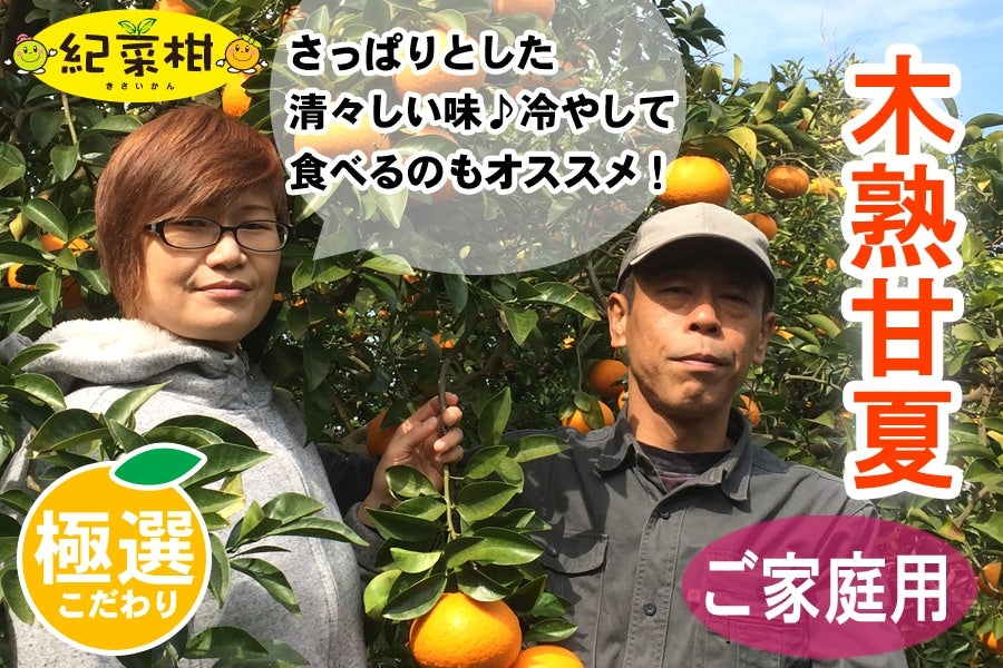 【紀菜柑】泉映恵子さんのご家庭用「木熟甘夏」　約8kg