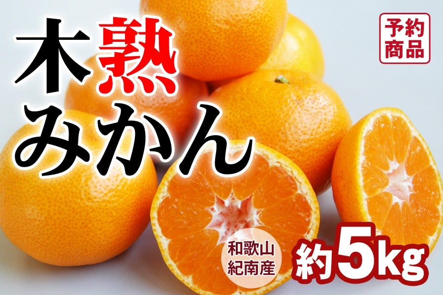 お取り寄せ　木熟みかん　通販　【お歳暮にも】:　（Mサイズ）　5kg　ＪＡ紀南|【ＪＡタウン】産地直送