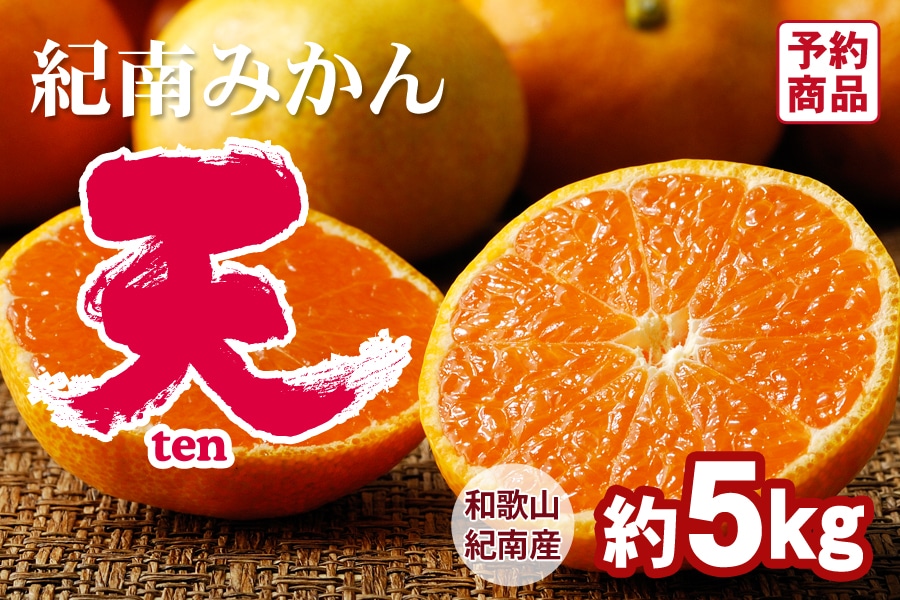 紀南みかん「天」（Sサイズ） 5kg <10月上旬～10月下旬発送>: JA紀南 