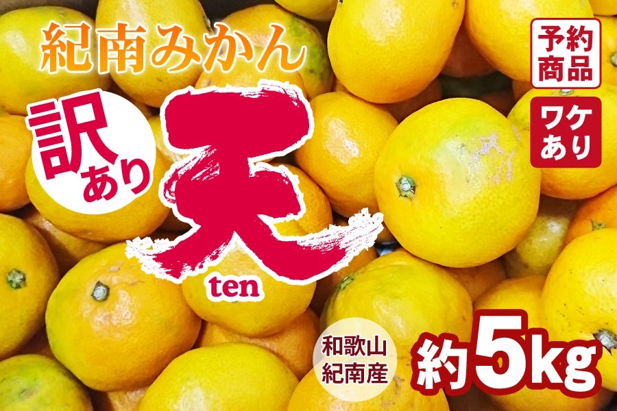 産地直送 通販 お取り寄せ 訳あり 紀南みかん 天 無選別 5kg 10月下旬 最終出荷発送 ｊａ紀南 ｊａタウン