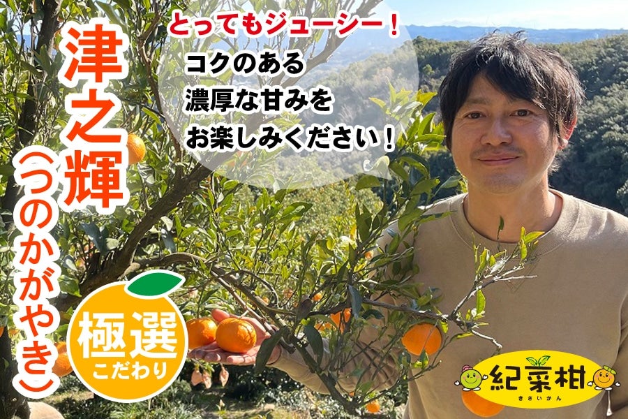 【紀菜柑】那須　都男さんの「津之輝（つのかがやき）」 L〜3L混合　約3kg　＜園地直送＞