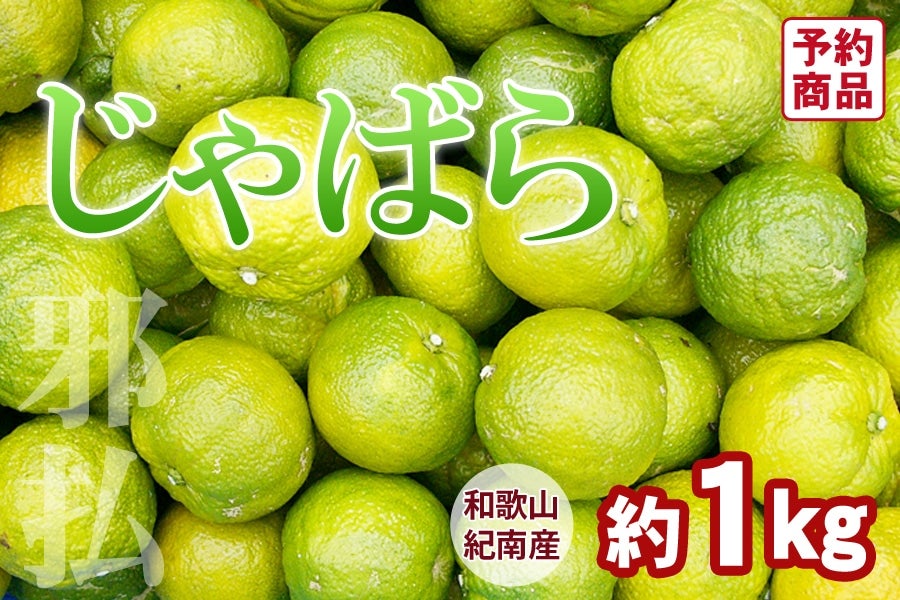 和歌山県産 じゃばら 1㎏ <11月上旬～発送>(紀南): ココ・カラ