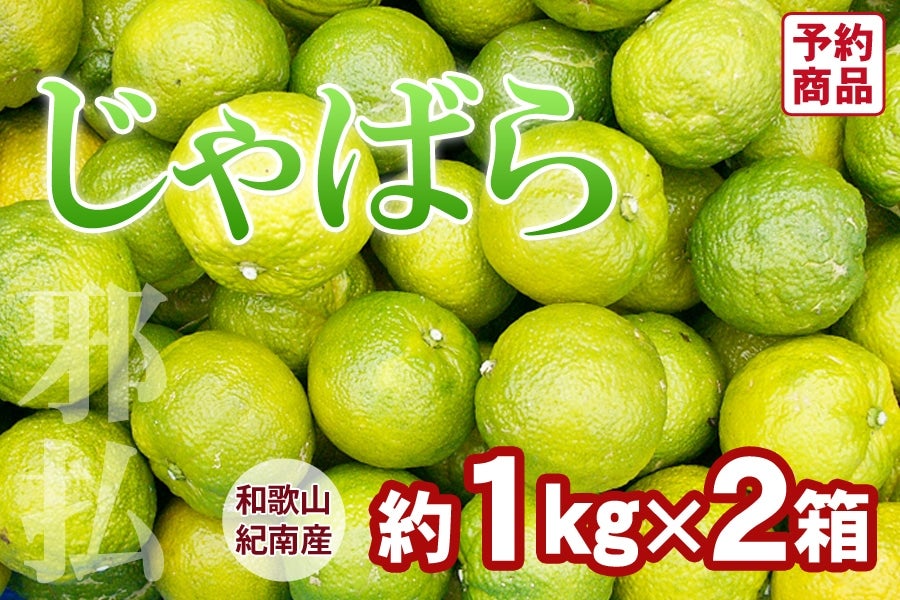 a̎RY ΂ 1s×2 <11{`>
