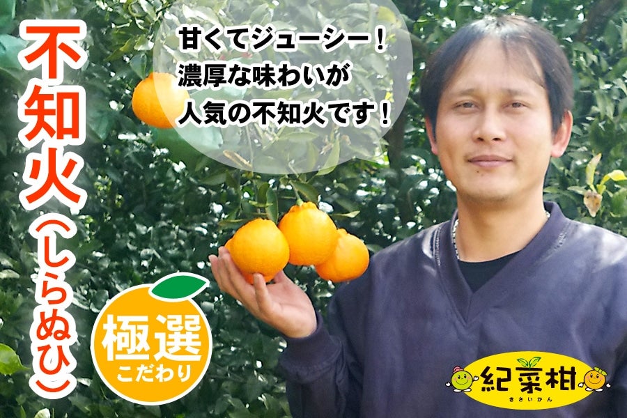 【紀菜柑】高垣行雄さんの「不知火」　L・2Lサイズ混合　約2.5kg