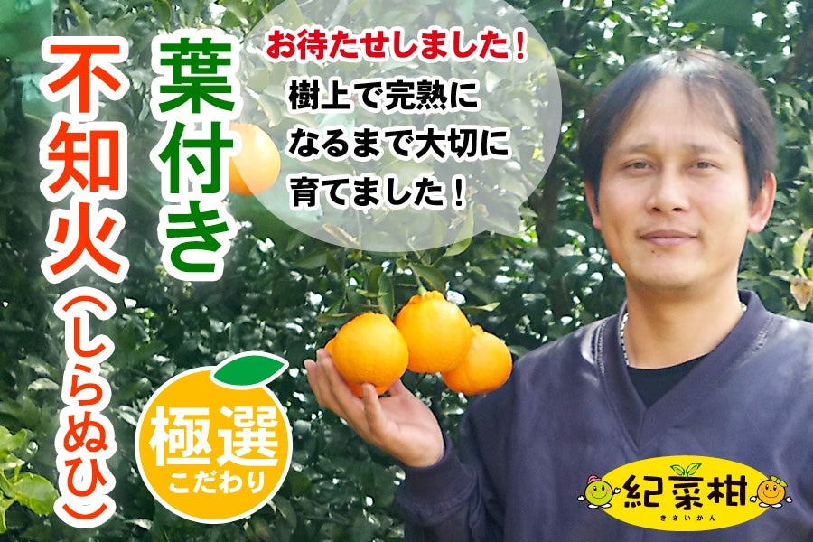  【紀菜柑】高垣行雄さんの「葉付き不知火」３L　8玉　約2.5kg