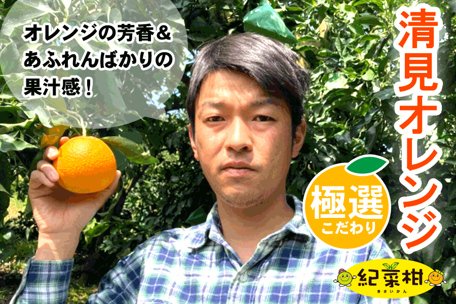 【紀菜柑】　　鈴木　惣志郎さんの「清見オレンジ」　M・Lサイズ　約2.6kg
