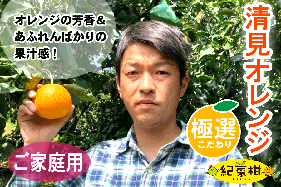 【紀菜柑】ご家庭用　鈴木　惣志郎さんの「清見オレンジ」　約4kg