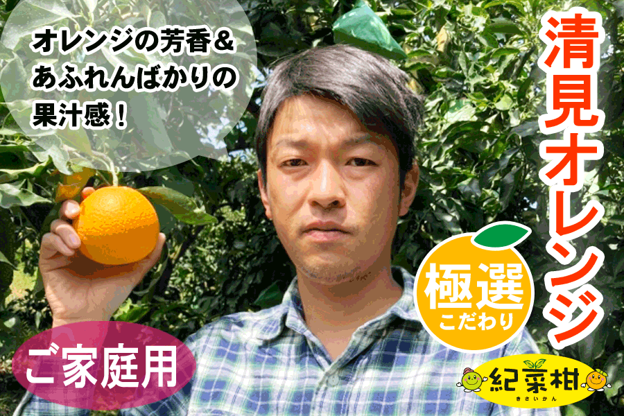 【紀菜柑】ご家庭用　鈴木　惣志郎さんの「清見オレンジ」　約9kg