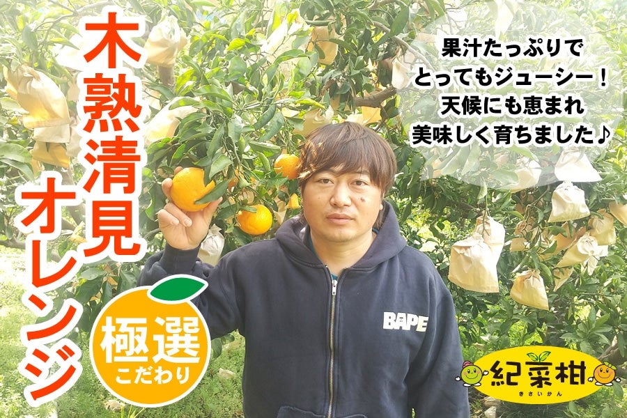 【紀菜柑】　　平田　卓巳さんの「木熟清見オレンジ」約6kg