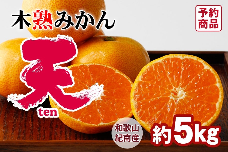 数箱限定‼️少し早い木熟南高梅　3L2Lサイズ　5kg みかんキング imgrc0112105478.jpg