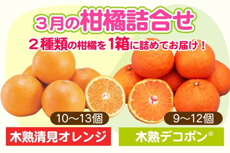 3月の柑橘詰合せ　約4kg　＜３月上旬より順次発送＞
