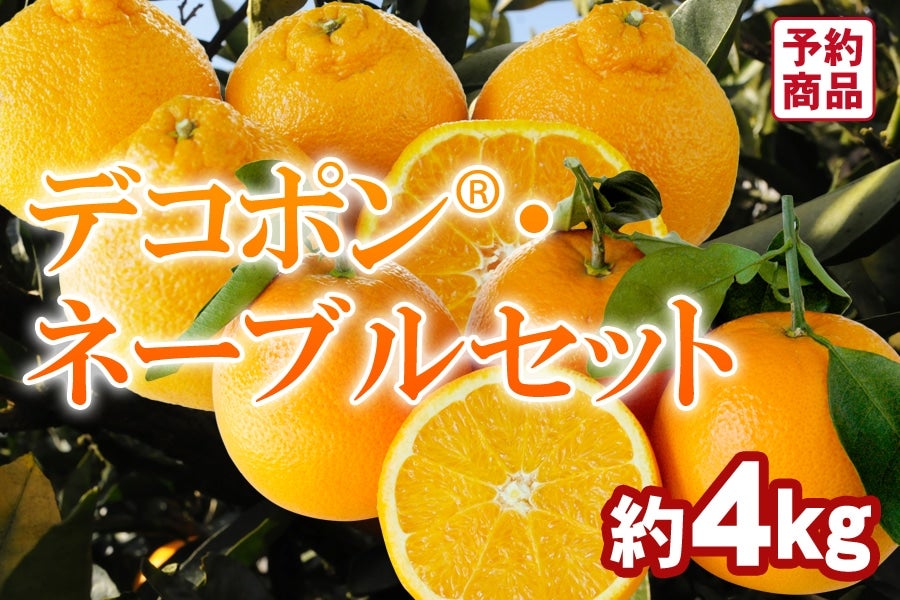 バレンタイン早割200円OFFクーポン有】 柑橘食べくらべ セット