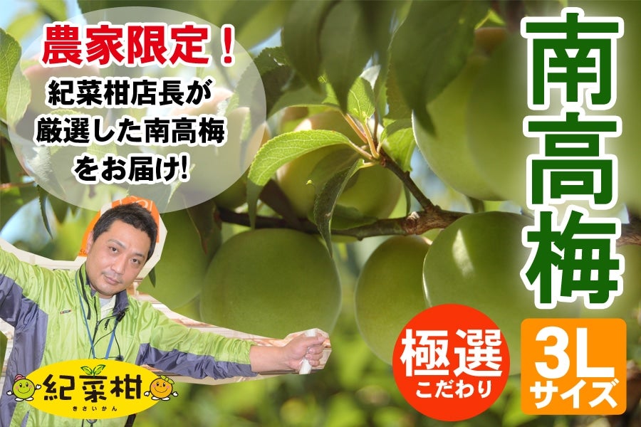 【紀菜柑】紀州南高梅「青いめ南高梅」3Lサイズ　約5kg