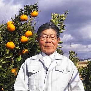 田口農園の八朔（約10kg）: めっけもん広場|【JAタウン】産地