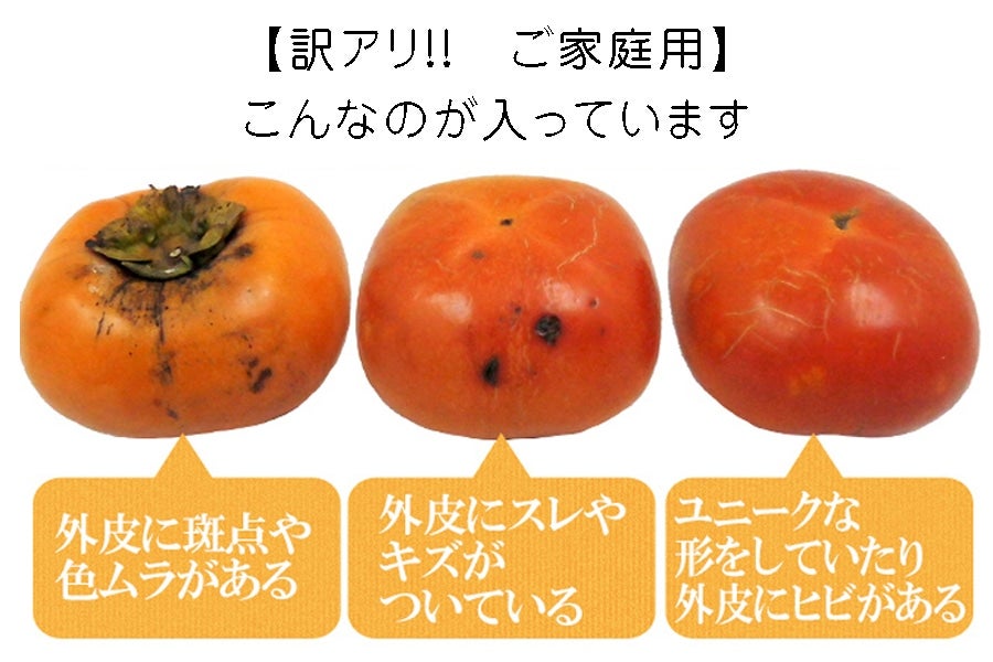 産地直送 通販 お取り寄せ手平農園 紀の川市産 訳あり ご家庭用 果肉が黒い柿 めっけもん広場 ｊａタウン